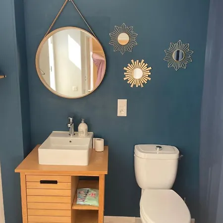 Apartamento Studio Chaleureux Le Coeur -troyes Centre Troyes