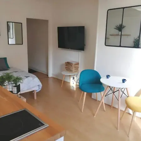 Studio Chaleureux Le Coeur -troyes Centre
